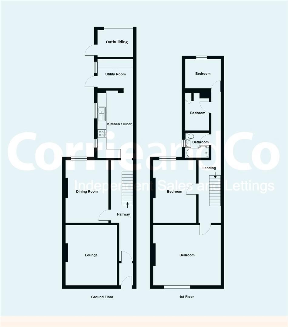 p1.jpg